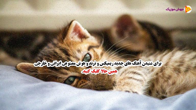 دانلود آهنگ مجبور شدم بپیچم از ایران (ریمیکس اینستایی) از پیشرو X محسن لرستانی